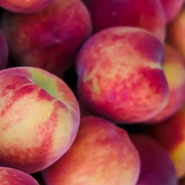 Mayorista de Frutas y Verduras en Arenys