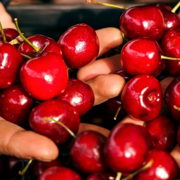 Mayorista de Frutas y Verduras en Arenys