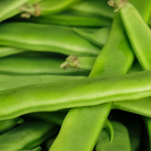 Mayorista de Frutas y Verduras en Arenys