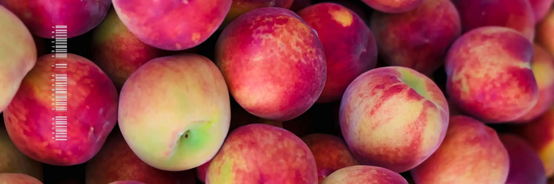 Servei a domicili de Fruites i Verdures